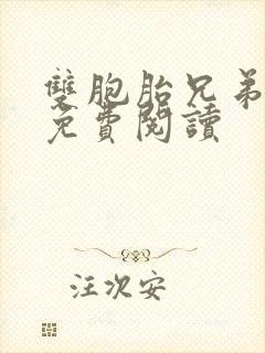 双胞胎兄弟小说免费阅读封面