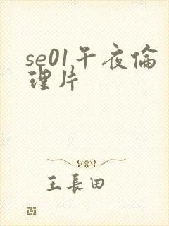 se01午夜伦理片