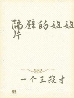 隔壁的姐姐伦理片封面