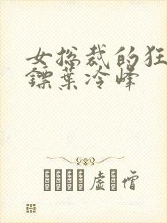 女总裁的狂龙保镖叶冷峰