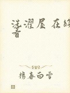 洗濯屋 在线观看封面