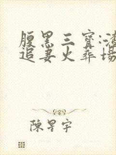 腹黑三宝:渣爹追妻火葬场小说封面