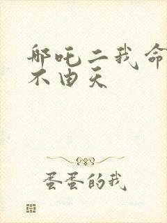 哪吒二我命由我不由天