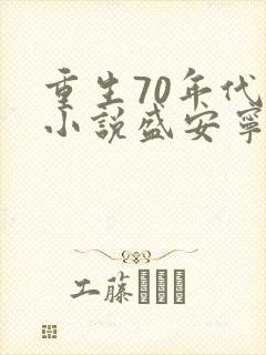 重生70年代的小说盛安宁