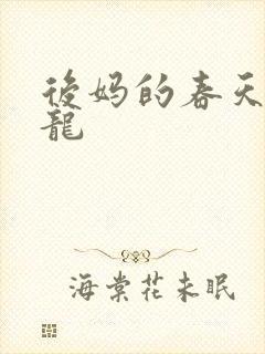 后妈的春天孙正龙