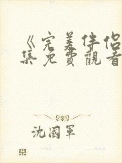 《完美伴侣》全集免费观看