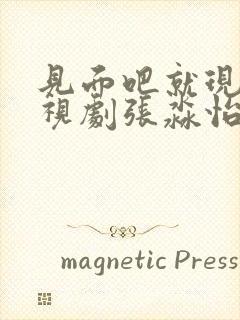 见面吧就现在电视剧张淼怡