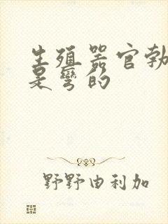 生殖器官勃起后是弯的