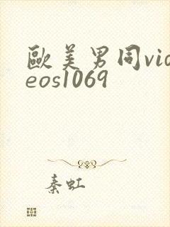 欧美男同videos1069封面
