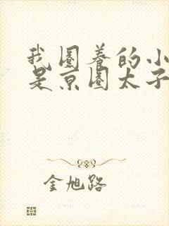 我圈养的小白脸是京圈太子爷短剧封面