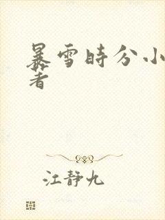 暴雪时分小说原著