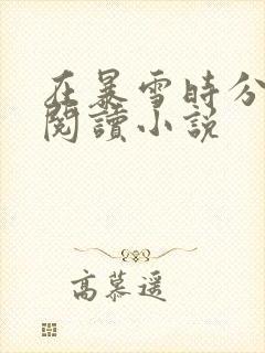 在暴雪时分全文阅读小说