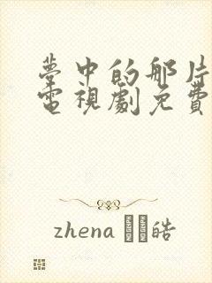 梦中的那片海 电视剧免费观封面