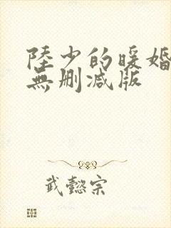 陆少的暖婚新妻无删减版