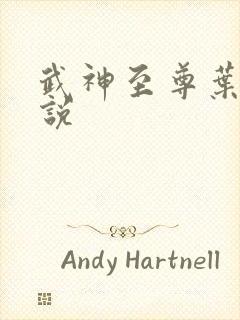 武神至尊叶风小说