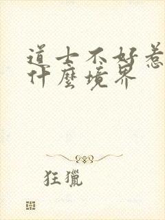 道士不好惹主角什么境界