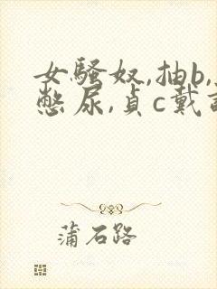 女骚奴,抽b,憋尿,贞c戴调教小说