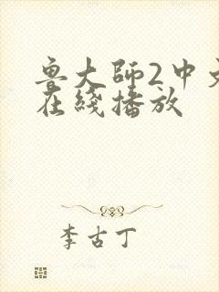 鲁大师2中文版在线播放