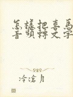 怎样把喜马拉雅音频转文字