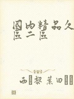 国内精品久久一区二区