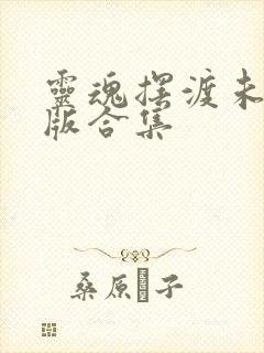 灵魂摆渡未删减版合集封面