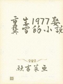 重生1977娶龚雪的小说