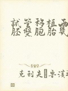 试管移植两个囊胚双胞胎几率高吗