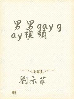男男gay gay视频