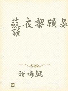 苏夜黎顾晏沉小说