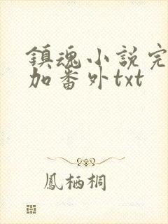 镇魂小说完整版加番外txt封面