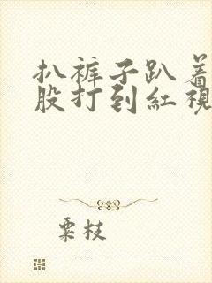 扒裤子趴着打屁股打到红视频封面