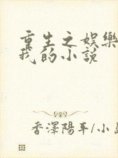 重生之娱乐圈是我的小说