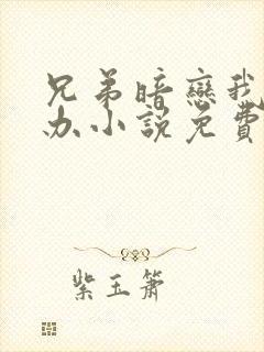 兄弟暗恋我怎么办小说免费阅读