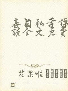 春日私奔锦应小说全文免费阅读最新章节列表封面