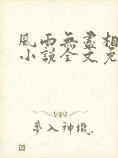 风雨无尽相思情小说全文免费阅读