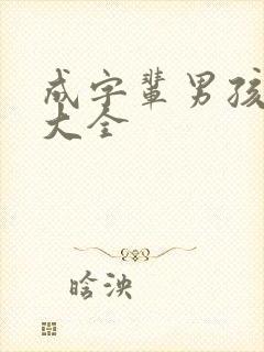 成字辈男孩取名大全