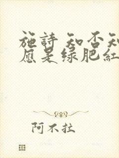 施诗 知否知否应是绿肥红瘦封面