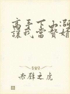 高手下山:师父让我当赘婿小说第一部封面