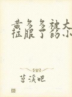 黄多多被大肉楱征服了的小说封面