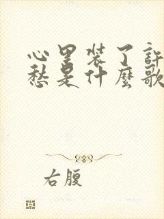 心里装了许多的愁是什么歌