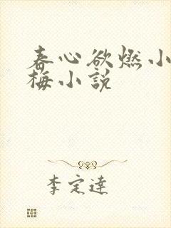 春心欲燃小城高梅小说