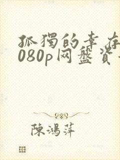 孤独的幸存者1080p网盘资源