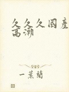 久久久国产精品高潮