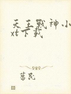 天王战神小说txt下载