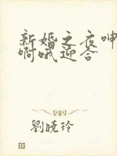 新婚之夜呻吟嗯啊哦迎合