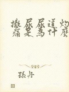 撒尿尿道灼热刺痛是为什么封面