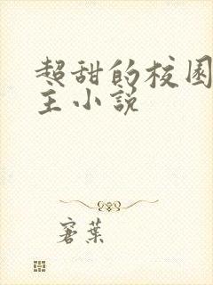 超甜的校园双男主小说