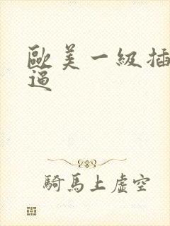 欧美一级插女人逼