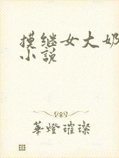 摸继女大奶子的小说