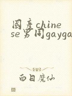 国产chinese男同gaygay封面